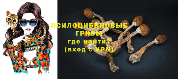 мяу мяу мука Армянск