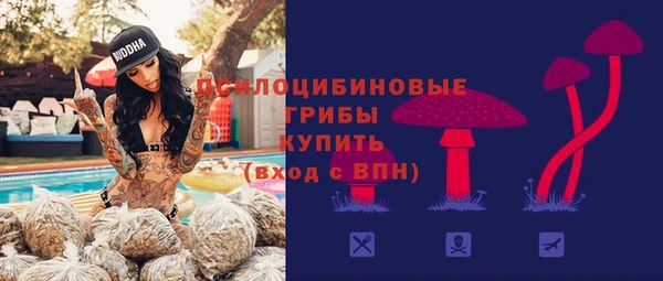 МДПВ Аркадак